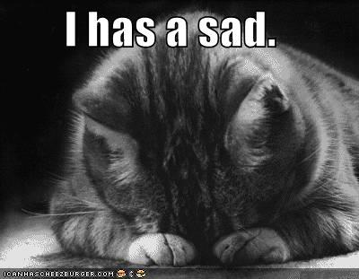 [Image: funny-pictures-sad-cat-blackandwhit.jpg]